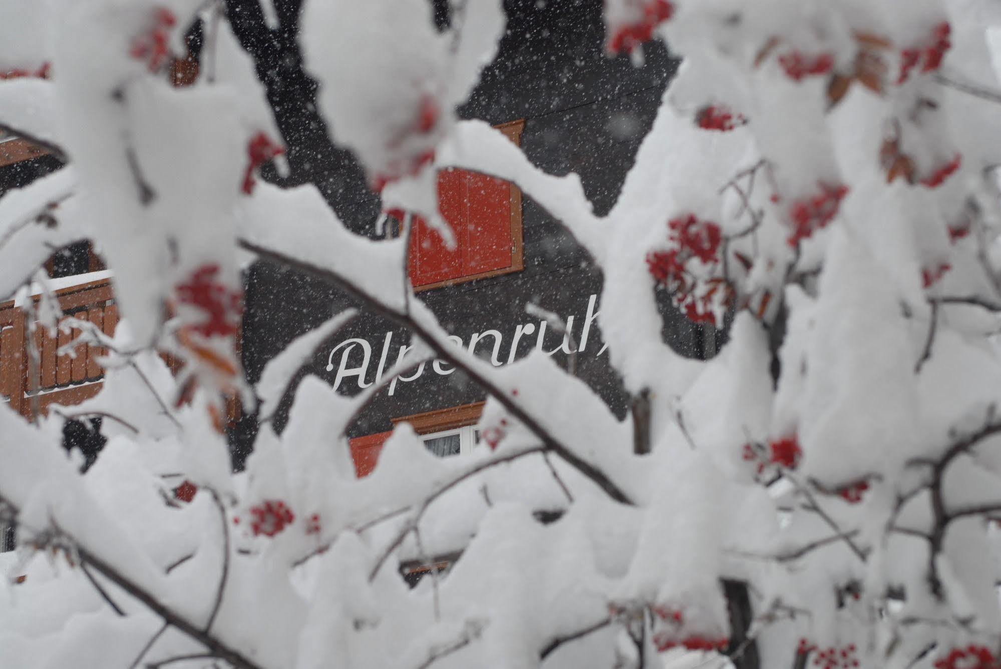 Chalet Alpenruh Saas-Fee Zewnętrze zdjęcie